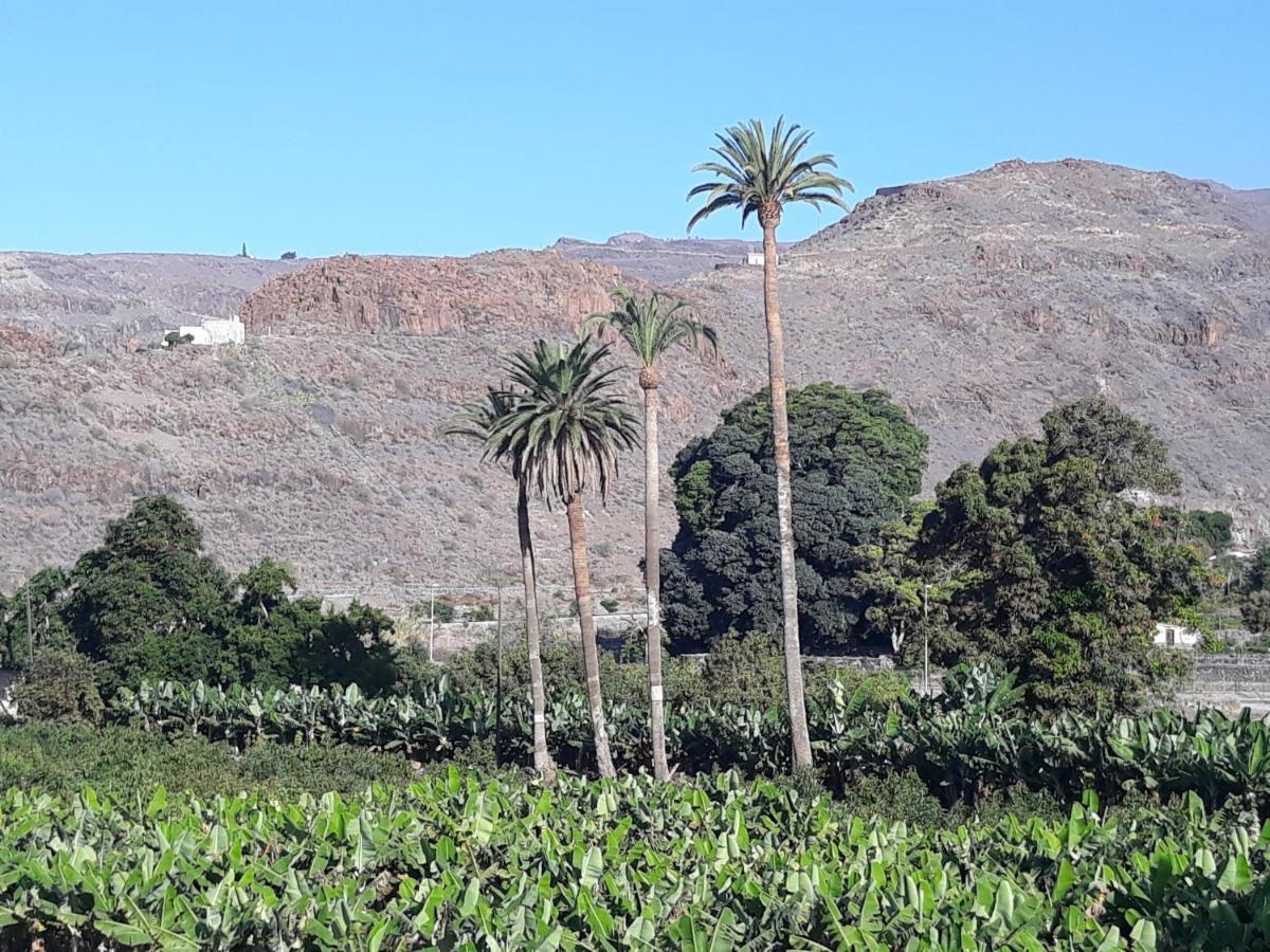Los Olivos Playa de Santiago  Exteriör bild