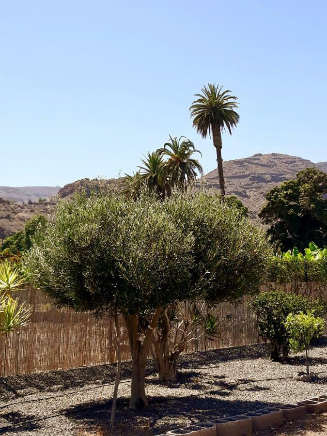 Los Olivos Playa de Santiago  Exteriör bild